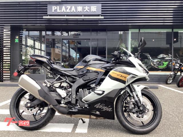 Ｎｉｎｊａ　ＺＸ−４Ｒ　ＳＥ