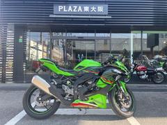 カワサキ　Ｎｉｎｊａ　ＺＸ−４ＲＲ