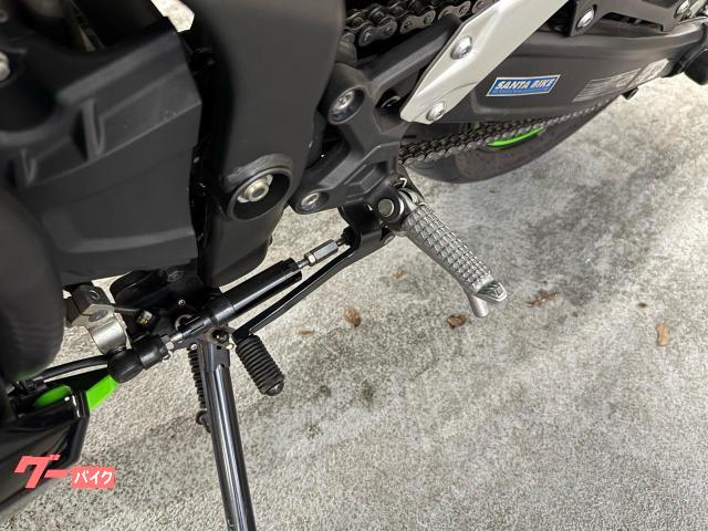カワサキ Ninja ZX－4RR 純正フレームスライダー