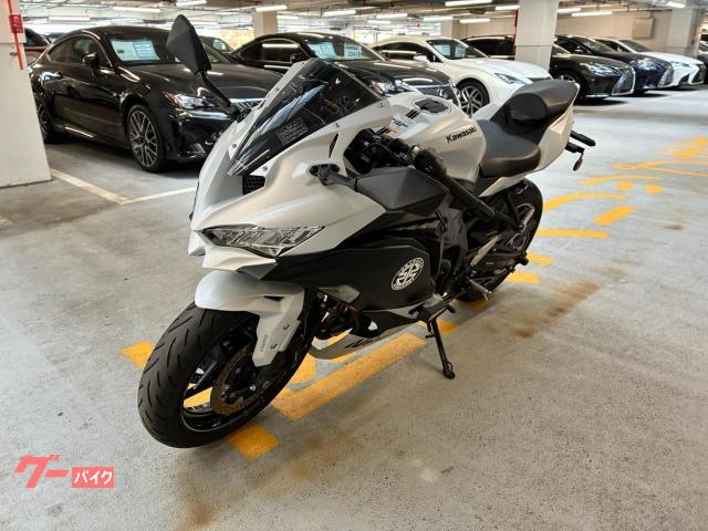 カワサキ Ninja ZX－4R SE トリックスターIKAZUCHI