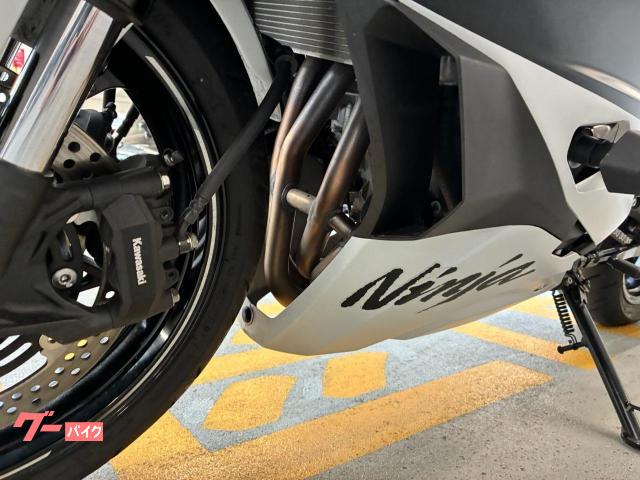 カワサキ Ninja ZX－4R SE トリックスターIKAZUCHI