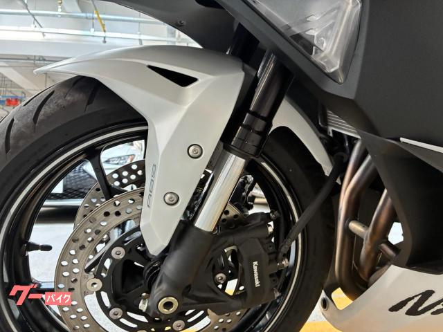 カワサキ Ninja ZX－4R SE トリックスターIKAZUCHI