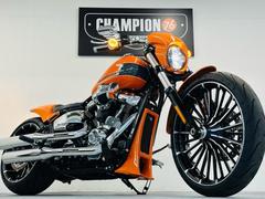 ＨＡＲＬＥＹ−ＤＡＶＩＤＳＯＮ　ＦＸＢＲ　ソフテイル　ブレイクアウト１１７　リアフェンダー　ヘッドライトカウル　スポイラー　ＳＵＮＤＡＮＣＥレバー　ＥＴＣ　ペグ等