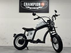 Ｍａｎｇｏｓｔｅｅｎ　ＦＴ−０２　ＭＩＮＩ　ＥＶ