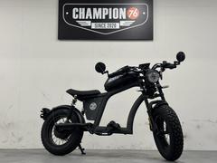 Ｍａｎｇｏｓｔｅｅｎ　ＦＴ−０２　ＭＩＮＩ　ストレート