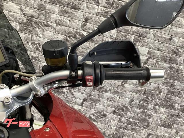 BMW F700GS Low Down フルパニア エンジンガード