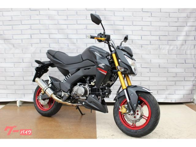 Ｚ１２５ＰＲＯ