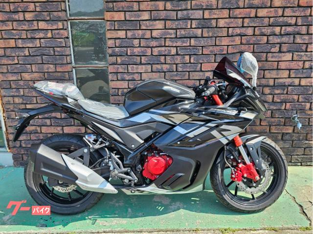 ＤＥＭＯＮ　ＧＲ２００Ｒ　４バルブ　ブラック