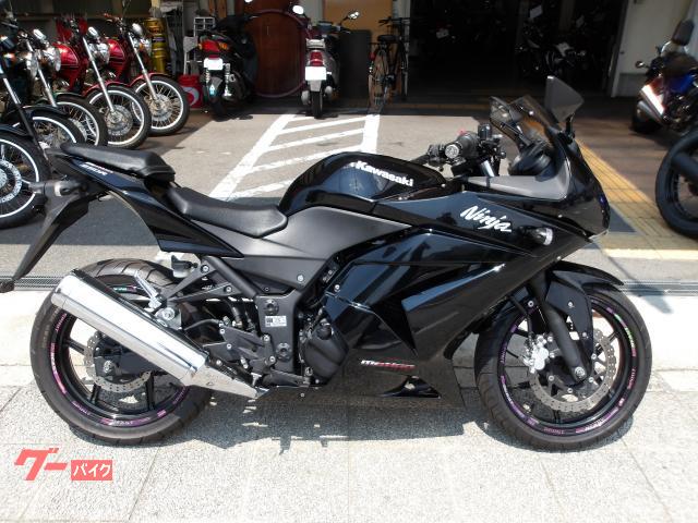 Ｎｉｎｊａ　２５０Ｒ　２００８年モデル　インジェクション　水冷２気筒エンジン