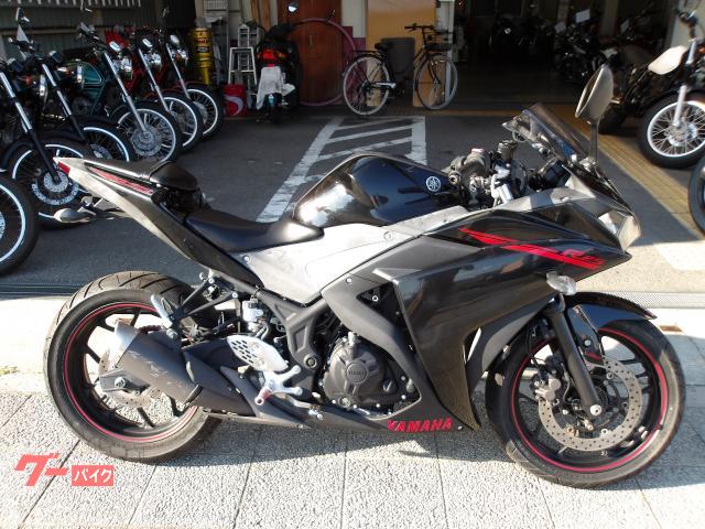 ＹＺＦ−Ｒ２５　２０１５年モデル　インジェクション　水冷２気筒エンジン