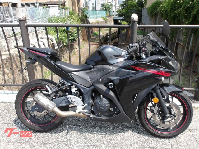 ＹＺＦ−Ｒ２５　２０１５年モデル　インジェクション　水冷２気筒エンジン