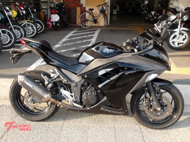 Ｎｉｎｊａ　２５０　２０１３年モデル　インジェクション　水冷２気筒エンジン