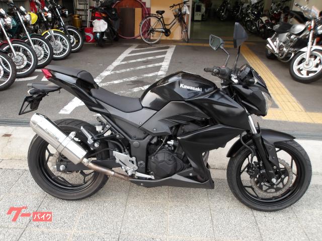Ｚ２５０　２０１３年モデル　インジェクション　水冷２気筒エンジン