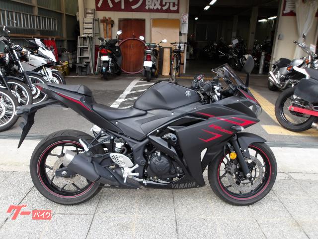 ＹＺＦ−Ｒ２５　２０１７年モデル　インジェクション　水冷２気筒エンジン