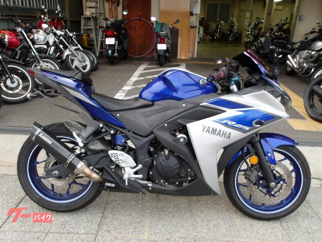 ＹＺＦ−Ｒ２５　２０１５年モデル　インジェクション　水冷２気筒エンジン