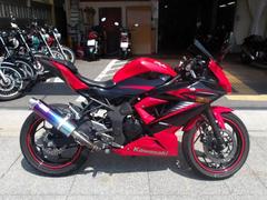 カワサキ　Ｎｉｎｊａ　２５０ＳＬ　２０１５年モデル　インジェクション　水冷単気筒エンジン