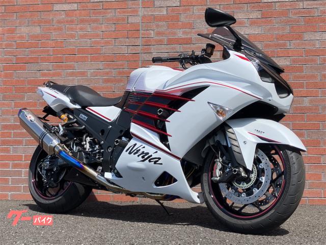 エギセット 多色 14個 カワサキ Ninja ZX－14R ハイグレード ファイナル