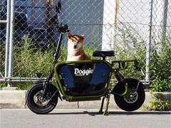 ドギー　中古　Ｅ−ＣａｒｒｙＢｉｋｅ　Ｄｏｇｇｉｅ　ドギーバイク　グリーン