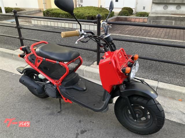 ホンダ ズーマー｜モンチーモータース｜新車・中古バイクなら
