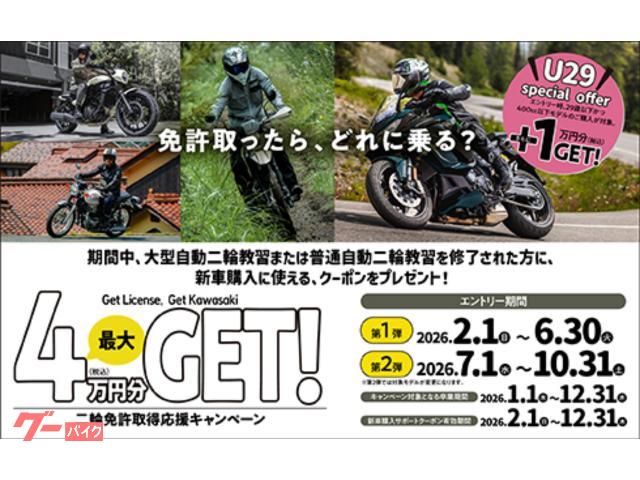 デジタルカード スパイキー 緑色 Amazon.co.jp: Stiffie Shift チームグリーン スーパー