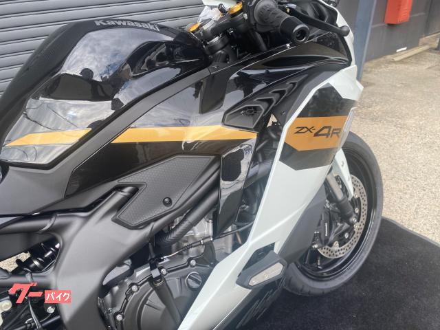 セット売り 25-08-26 Gyutto ((ポイント5％_11/1-11/3))電動自転車 電動アシスト