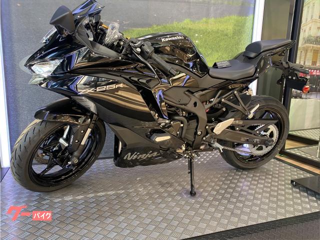 カワサキ Ninja ZX－25R SE 2027年モデル メタリック