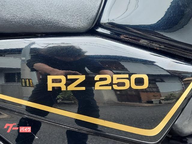 ヤマハ RZ250 K2テックチャンバー ダブルディスク
