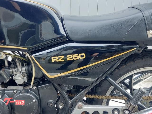 ヤマハ ＲＺ２５０ Ｋ２テックチャンバー ダブルディスク マーシャルヘッドライト 黒金｜モーターサイクル大阪センター  ＣｈｏｕＣｈｏｕ｜新車・中古バイクなら【グーバイク】