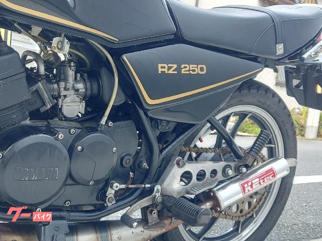 ヤマハ ＲＺ２５０ Ｋ２テックチャンバー ダブルディスク マーシャルヘッドライト 黒金｜モーターサイクル大阪センター  ＣｈｏｕＣｈｏｕ｜新車・中古バイクなら【グーバイク】