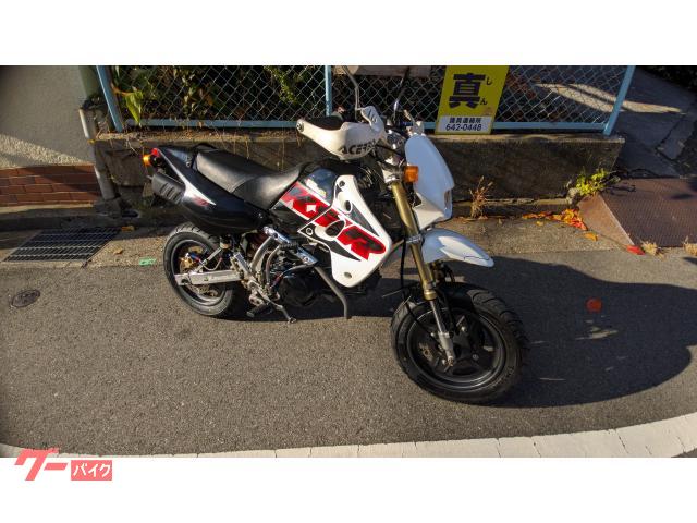 ＫＳＲ１１０　マニュアル油圧クラッチ　武川リアサス　ＤＭＲマルチリフレクターライト　タイヤチェーン新品　ＦフォークＯＨ済