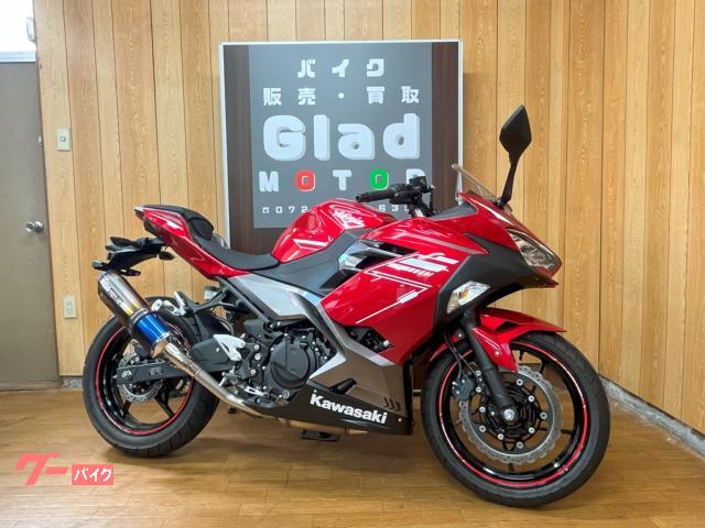 Ｎｉｎｊａ　２５０　１オーナー車　２０２２年モデル　ＷＲｓ社外マフラー