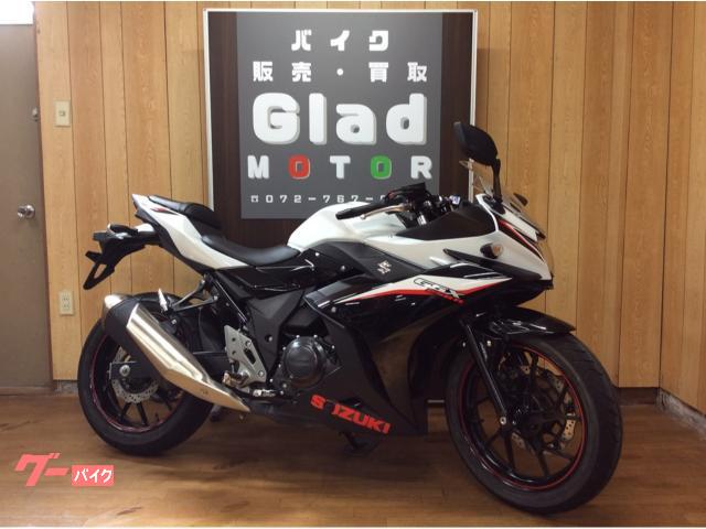 ＧＳＸ２５０Ｒ　ＡＢＳ　デイトナＵＳＢ　マルチバー付き　ヘッドライトＬＥＤ球交換済