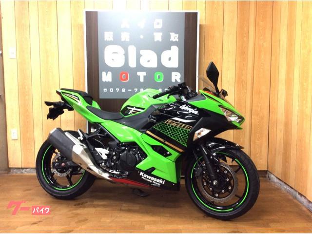 カワサキ Ｎｉｎｊａ ２５０ ２０２０年モデル ＥＸ２５０Ｐ型 ＥＴＣ付 ノーマル車両｜株式会社グラッドモーター｜新車・中古バイクなら【グーバイク】