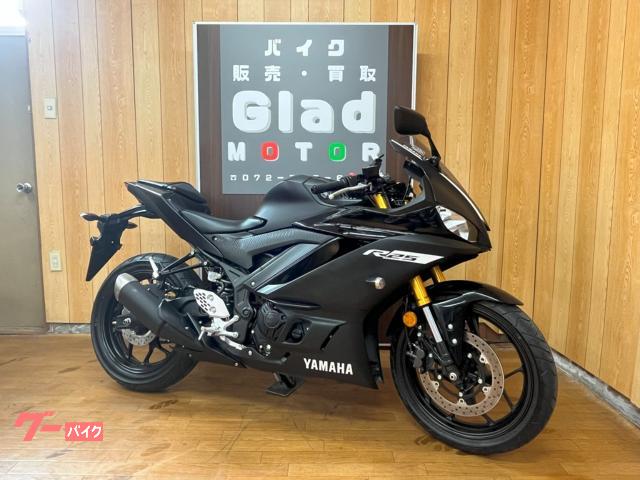 ＹＺＦ−Ｒ２５　ワンオーナー　ＵＳＢ　スマートフォンホルダー付き　ＲＧ４３Ｊ　２０１９年モデル　倒立フォーク　ノーマル車両