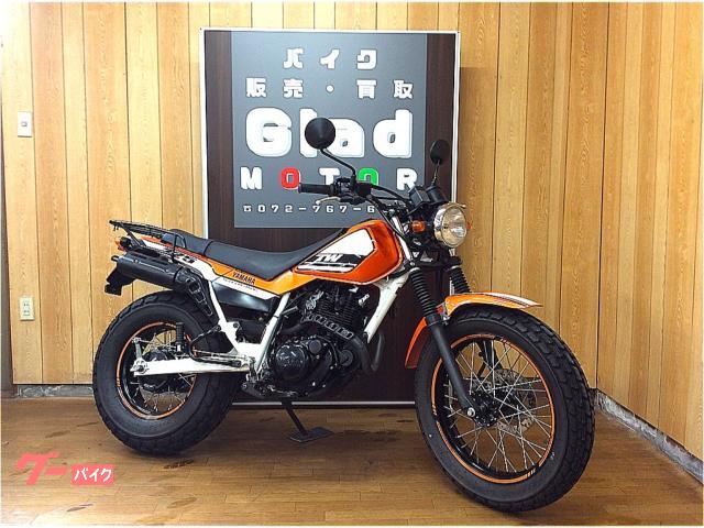 ヤマハ TW225E 20th Anniversary Sp 