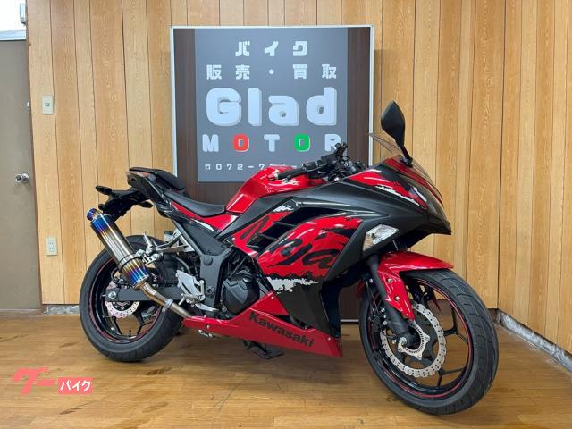 Ｎｉｎｊａ　２５０　ビームスマフラー　２０１７年　ＥＸ２５０Ｌ最終型　ＡＢＳモデル　ＵＳＢ　スマートフォンホルダー　ＥＸ２５０Ｌ型