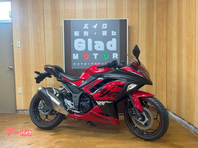 Ｎｉｎｊａ　２５０　ＡＢＳモデル　２０１７年　ＥＸ２５０Ｌ　シガーソケット＋ＵＳＢ付　ＥＴＣ　ヘルメットホルダー　純正キー２本有り