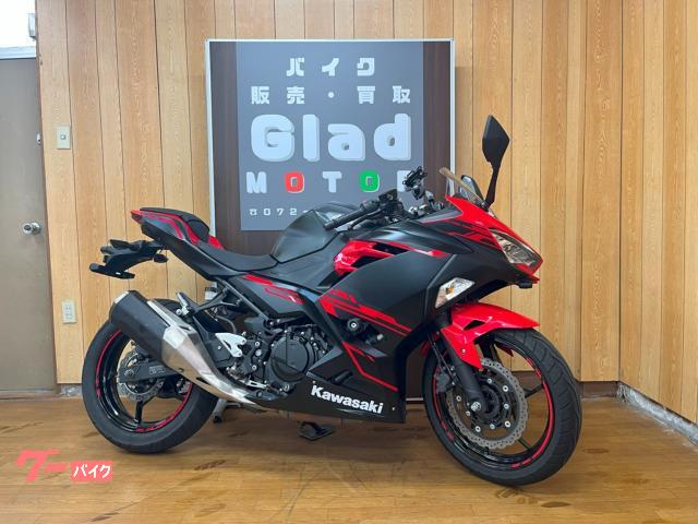 Ｎｉｎｊａ　２５０　ＥＸ２５０Ｐ型　２０１８年モデル　ＡＢＳ　　スマートフォンホルダー　ドライブレコーダー　ＥＴＣ　純正キー２本