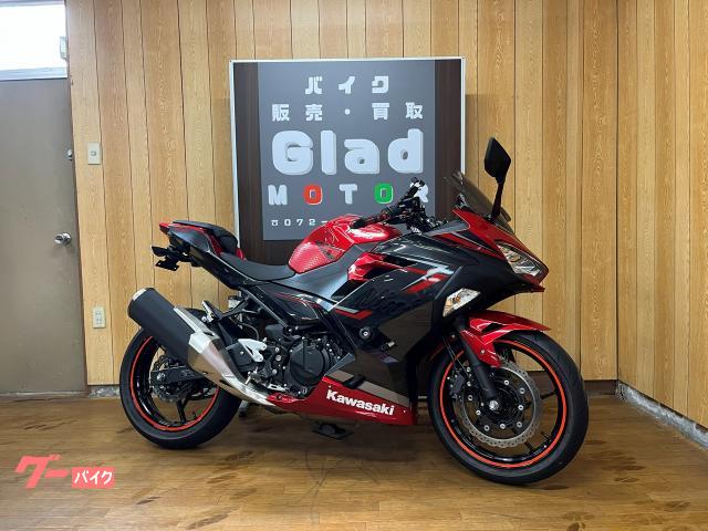 Ｎｉｎｊａ　４００　２０１９年モデル　キャンディパーシモンレッド×メタリックマグネティックダークグレー　ＥＴＣ２．０　ＵＳＢ