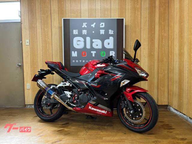 Ｎｉｎｊａ　４００　ＷＲ’ＳスリップオンＳＳ−ＯＶＡＬ焼き色タイプマフラー　ＥＴＣ２．０　ＵＳＢ　シングルシートカウル　２０１９年