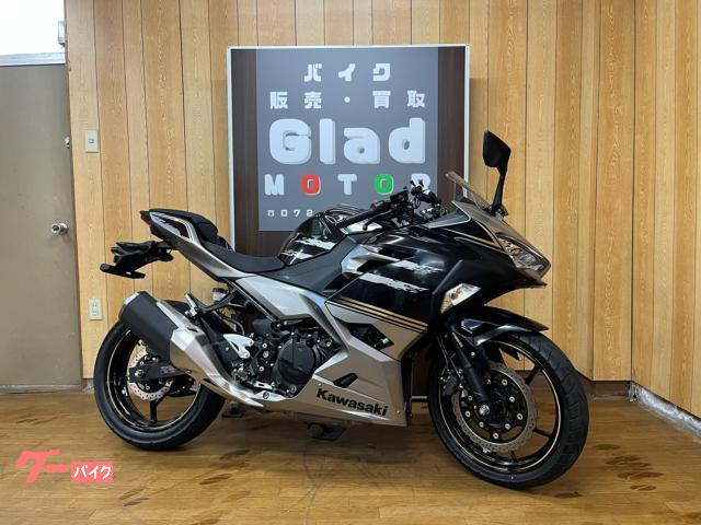 カワサキ Ninja 250 2019年モデル メタリックファントム