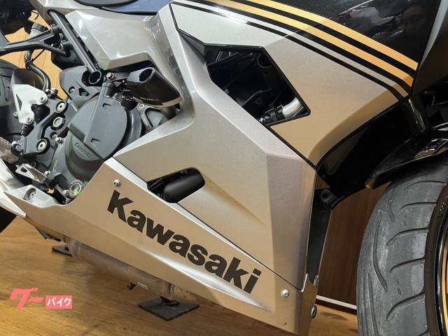 カワサキ Ninja 250 2019年モデル メタリックファントム