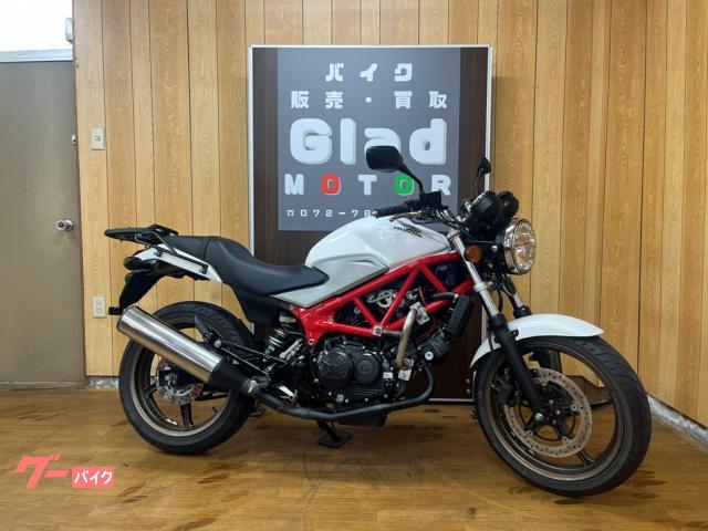 VTR250 2015年モデル パールサンビームホワイト キジマ製リアキャリア ギアポジションインジケーター エンジンガード付き