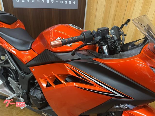 カワサキ Ninja 250 キャンディバーントオレンジ ETC