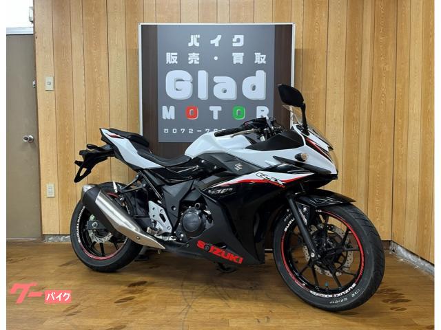 ＧＳＸ２５０Ｒ　２０２０年モデル　ＵＳＢ　ベビーフェイスエンジンスライダー　ヘルメットホルダー　ＧＳＸ２５０ＲＭ０　ＤＮ１１Ａ
