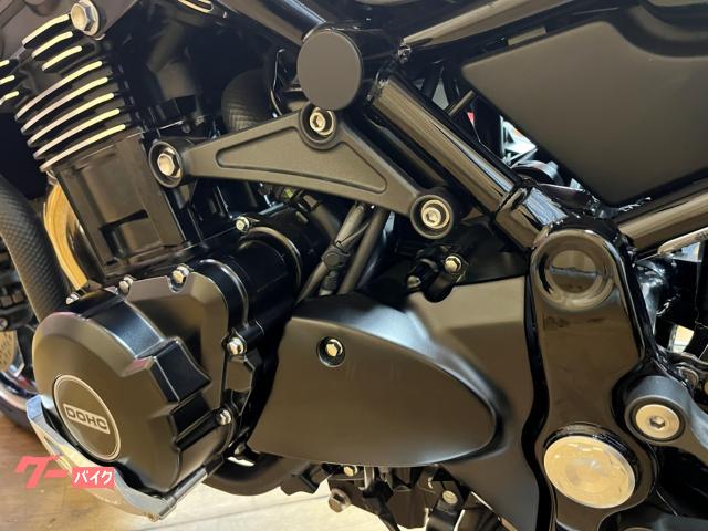 カワサキ Z900RS AELLA エンジンカバーガード