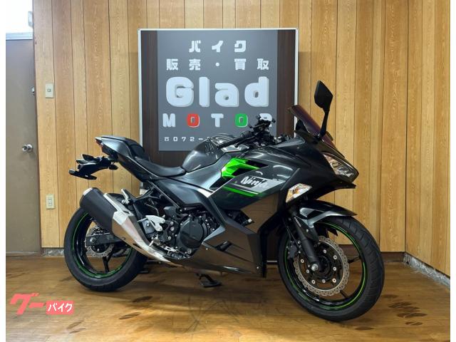 Ninja 250 2024年式 ETC2.0 1オーナー メタリックカーボングレー メタリックマットカーボングレー スクリーン