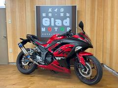 カワサキ　Ｎｉｎｊａ　２５０　ビームスマフラー　２０１７年　ＥＸ２５０Ｌ最終型　ＡＢＳモデル　ＵＳＢ　スマートフォンホルダー　ＥＸ２５０Ｌ型