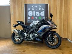カワサキ　Ｎｉｎｊａ　ＺＸ−２５Ｒ　ＳＥ　２０２４年モデル　ＥＴＣ　ノーマル車両　フレームスライダークラッシュプロテクター　純正キー２本あり