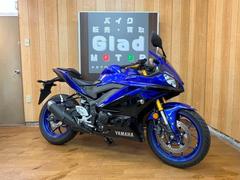 ヤマハ　ＹＺＦ−Ｒ２５　２０１９年モデル　ＲＧ４３Ｊ　ディープパープリッシュブルーメタリック　デイトナ製ＵＳＢ　社外品レバー交換済